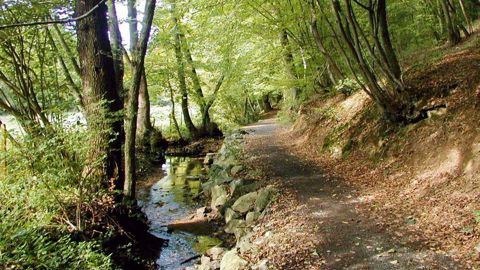 La ville de Dardilly, commune de 8 500 habitants, qui accueillait la rencontre, montre un exemple de prise en compte des trames vertes et bleues et de la biodiversité en zone périurbaine.PHOTO : VILLE DE DARDILLY