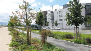 Mode ou vrai phénomène de fond, pour des marchés de niche ou non, si le label « Végétal local » interroge, il n'occulte pas la préoccupation majeure des pépiniéristes : vendre leurs productions.