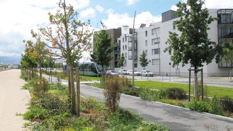 Mode ou vrai phénomène de fond, pour des marchés de niche ou non, si le label « Végétal local » interroge, il n'occulte pas la préoccupation majeure des pépiniéristes : vendre leurs productions.