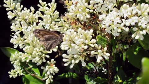 PHOTO : VALERIE VIDRIL