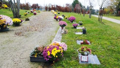 Fleurissement exceptionnel des concessions à l'occasion de la Toussaint.PHOTO : FREDON ÎLE-DE-FRANCE