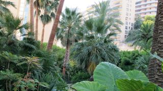 La détection acoustique, nouvelle technique présentée lors de cette journée, permet de repérer un palmier infesté au moyen de capteurs et de détecter les larves avant l'apparition de symptomes. 