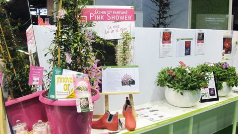 Si les catégories concernant le végétal restent inchangées, celles qui concernent le hors-végétal évoluent.