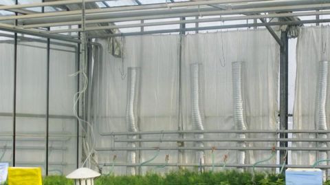 Après les conférences du matin, la visite du centre de production horticole de Rungis a permis de découvrir le procédé Agrichauff' mis en place par Agrithermic et la station Astredhor Ratho, en partenariat avec Clauger.