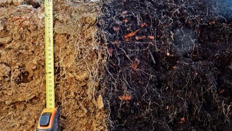 Est-il possible de faire pousser des végétaux en ville sur des matériaux recyclés issus du milieu urbain ? Oui, d'après les travaux du programme Siterre qui ouvrent des perspectives nouvelles pour la végétalisation urbaine, l'économie circulaire et la ville durable.PHOTO : MICHEL LEGRET