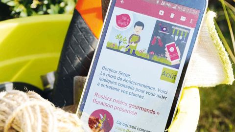 Le coach végétal qui accompagne la démarche marketing de Vive le végétal consiste à apporter des conseils gratuits tous les mois au jardinier afin qu'il réussisse sa culture.PHOTO : VIVE LE VÉGÉTAL