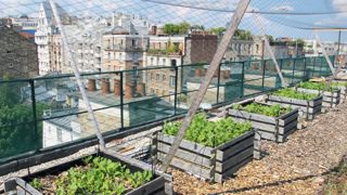 Comme ici à Paris, les toits et les terrasses des zones urbaines se transforment de plus en plus en espaces de culture. Fruits et légumes s'y développent et assurent aux habitants une partie de leur consommation alimentaire. Comme ici à Paris, les toits et les terrasses des zones urbaines se transforment de plus en plus en espaces de culture. Fruits et légumes s'y développent et assurent aux habitants une partie de leur consommation alimentaire.
