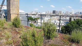 Astredhor, Agrocampus Ouest, l'Inra et l'Université d'Angers lancent une plate-forme collaborative dédiée aux nouvelles stratégies techniques et au marketing pour mieux répondre aux attentes du marché horticole urbain.PHOTO : PASCAL FAYOLLE