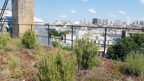 Astredhor, Agrocampus Ouest, l'Inra et l'Université d'Angers lancent une plate-forme collaborative dédiée aux nouvelles stratégies techniques et au marketing pour mieux répondre aux attentes du marché horticole urbain.PHOTO : PASCAL FAYOLLE