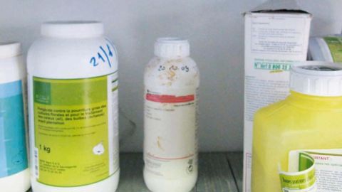 Les produits phytopharmaceutiques conventionnels sont interdits en espaces verts, sauf exception.