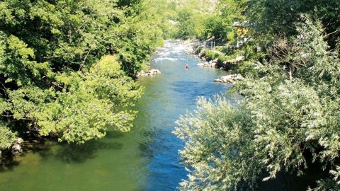 Si le génie biologique fait d'emblée penser à la lutte contre les inondations, en montagne par exemple, le domaine est beaucoup plus vaste !