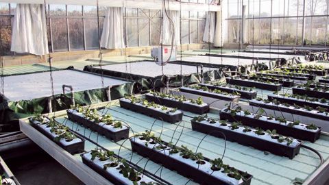 La station apporte de l'appui technique à ses adhérents et suit des programmes d'expérimentation, dont le financement devient de plus en plus compliqué.