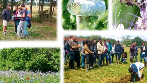 L'EPL de Toulouse Auzeville (31) mène des actions où le collectif est important dans le projet pédagogique, en lien avec l'exploitation agricole.