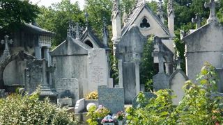 La labellisation « Refuge LPO » du cimetière de Loyasse s'inscrit dans l'action de la ville de Lyon (69) en faveur de la préservation de la biodiversité. PHOTO : VILLE DE LYON La labellisation « Refuge LPO » du cimetière de Loyasse s'inscrit dans l'action de la ville de Lyon (69) en faveur de la préservation de la biodiversité. PHOTO : VILLE DE LYON