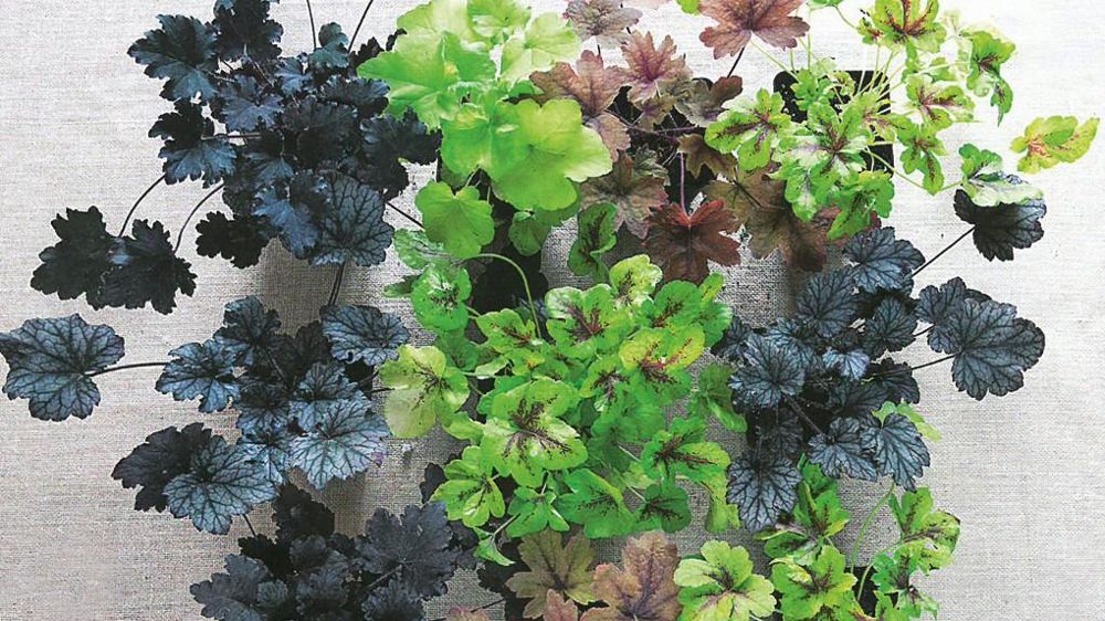 PHOTO : GARDEN _LAB