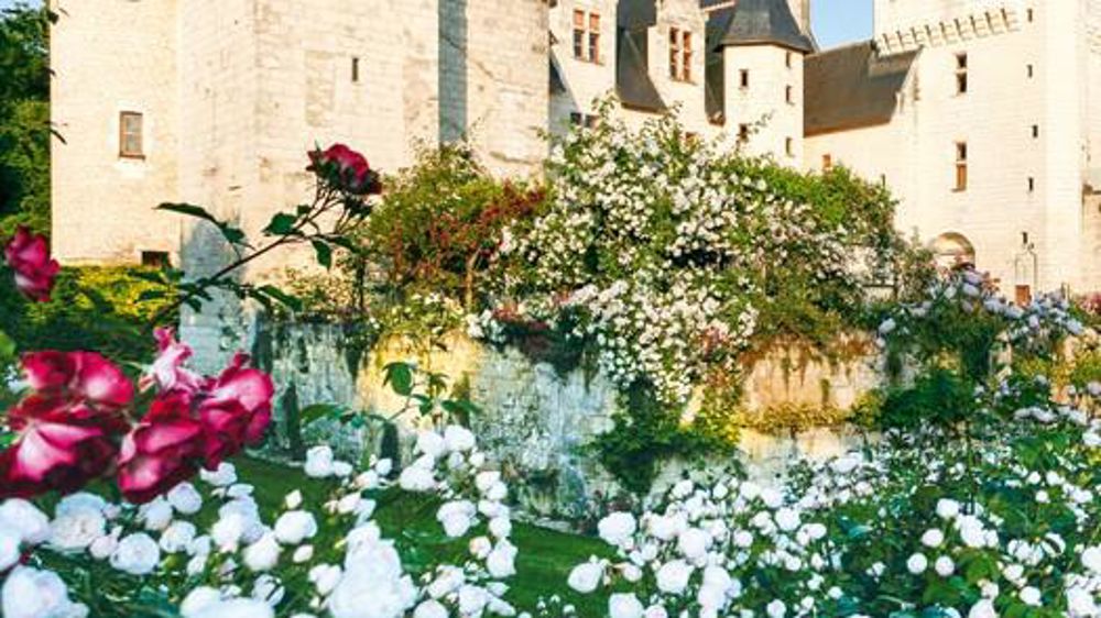 PHOTO : CHÂTEAU DU RIVAU PHOTO : CHÂTEAU DU RIVAU