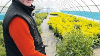 Gilles Colinet a choisi de tourner une partie de la production des pépinières Jean-Huchet qu'il dirige vers les jardineries avec des produits plus trapus, une gamme plus étroite mais des lots importants.