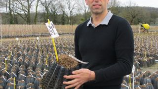        Samuel Lemonnier met en avant l'expérienceen traçabilité végétale de la pépinière et la qualitéde ses ébauches d'arbre en Starpot® qui évite lesdéformations racinaires et favorise une bonne reprise dès la première année de plantation. Ici, un jeune chêne d'un an juste rempoté.