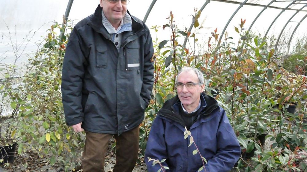 De gauche à droite, Dominique et Jean-Pierre Roulleau élargissent leur gamme à petit développement pour les particuliers, des plantes persistantes et florifères pour les haies fleuries et bocagères, des végétaux très décoratifs tels que Liquidambar, Acer ou encore des Hydrangea paniculata. De gauche à droite, Dominique et Jean-Pierre Roulleau élargissent leur gamme à petit développement pour les particuliers, des plantes persistantes et florifères pour les haies fleuries et bocagères, des végétaux très décoratifs tels que Liquidambar, Acer ou encore des Hydrangea paniculata.