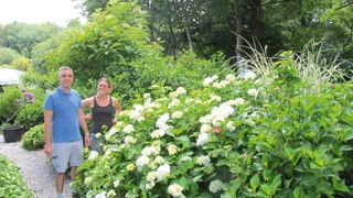        Anne-Laure et Ronan Garin dirigent la pépinière du Haut-Bois, qui propose 750 variétés d'hortensia à la vente.