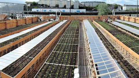        Le secteur est très fréquenté de jour comme de nuit, il fallait donc le protéger sans pour autant le couper totalement du regard du public.E. PENEAU