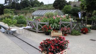 Cette année, c’était au tour des jardins du château Colbert à Maulévrier (49) de recevoir les journées annuelles du distributeur Ducrettet, avec ses partenaires obtenteurs. ©Ducrettet Cette année, c’était au tour des jardins du château Colbert à Maulévrier (49) de recevoir les journées annuelles du distributeur Ducrettet, avec ses partenaires obtenteurs. ©Ducrettet