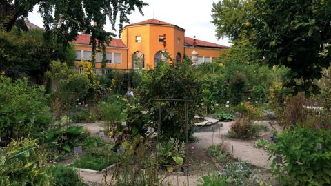 Le jardin, d’une superficie de 2,2 hectares, abrite une importante collection de plantes rares, une ancienne bibliothèque et les collections botaniques de l’Université. ©Léna Hespel