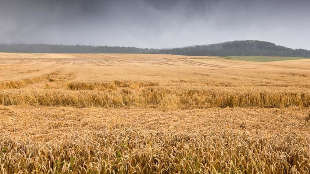 Fruit du travail du ministère de l’Agriculture et de celui de l’Économie, cette réforme a pour ambition de rendre plus accessible l’outil assurantiel et mieux couvrir les agriculteurs face au changement climatique. © C. Thiriet