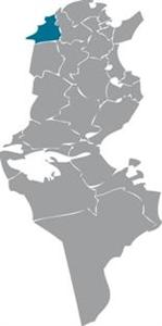 Région de Jendouba en Tunisie.