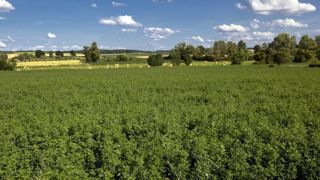 La DDT doit être informée le plus tôt possible des modifications concernant votre exploitation. © Christian Watier La DDT doit être informée le plus tôt possible des modifications concernant votre exploitation. © Christian Watier