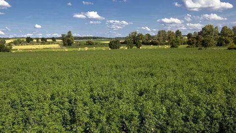 La DDT doit être informée le plus tôt possible des modifications concernant votre exploitation. © Christian Watier La DDT doit être informée le plus tôt possible des modifications concernant votre exploitation. © Christian Watier