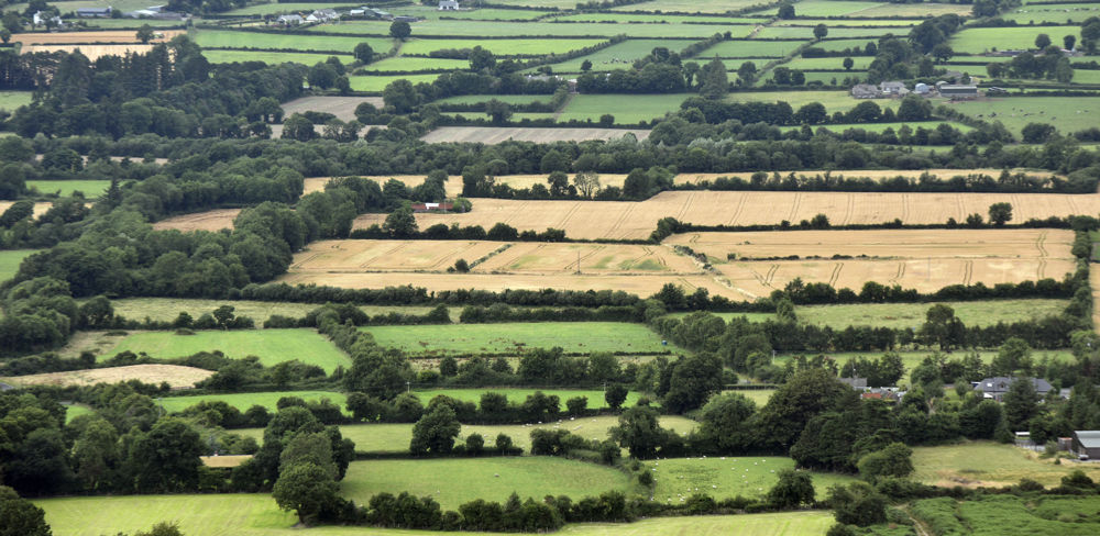 Cette demande des ministères s’inscrit dans le cadre du plan Ecophyto 2+ et alimente le programme prioritaire de recherche (PPR) « Cultiver et protéger autrement », qui invite la recherche à concevoir des systèmes de culture sans pesticides de synthèse.