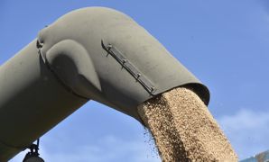Le Conseil international des céréales maintient ses prévisions pour la production mondiale de céréales 2022-2023 à 2 256 millions de tonnes. Le Conseil international des céréales maintient ses prévisions pour la production mondiale de céréales 2022-2023 à 2 256 millions de tonnes.