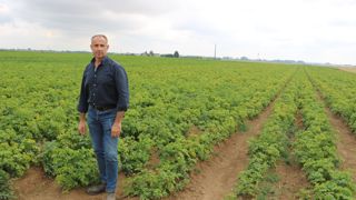 Jean-Marie Fontaine : « J’ai réussi à maintenir voire à augmenter le taux de matière organique dans mes sols, malgré la présence dans la rotation de cultures industrielles. » Jean-Marie Fontaine : « J’ai réussi à maintenir voire à augmenter le taux de matière organique dans mes sols, malgré la présence dans la rotation de cultures industrielles. »