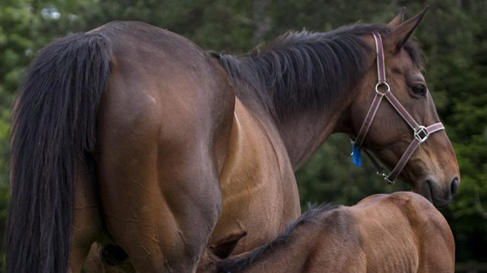 Bruxelles va laisser une marge de manœuvre aux États membres pour appliquer une TVA réduite. © Romain Watier