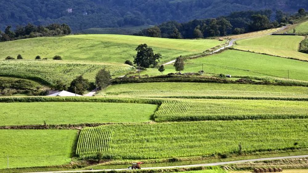 Les terres à usage agricole bénéficient tous les ans d’une exonération de 20 %. © Philippe Roy - Archives
