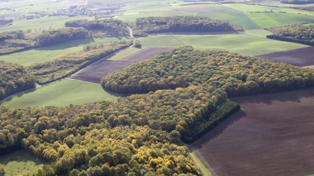 Les dégrèvements de taxe foncière attribués à la suite d’une sécheresse reconnue au titre des calamités agricoles doivent revenir au fermier. © Claudius Thiriet