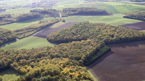 Les dégrèvements de taxe foncière attribués à la suite d’une sécheresse reconnue au titre des calamités agricoles doivent revenir au fermier. © Claudius Thiriet Les dégrèvements de taxe foncière attribués à la suite d’une sécheresse reconnue au titre des calamités agricoles doivent revenir au fermier. © Claudius Thiriet