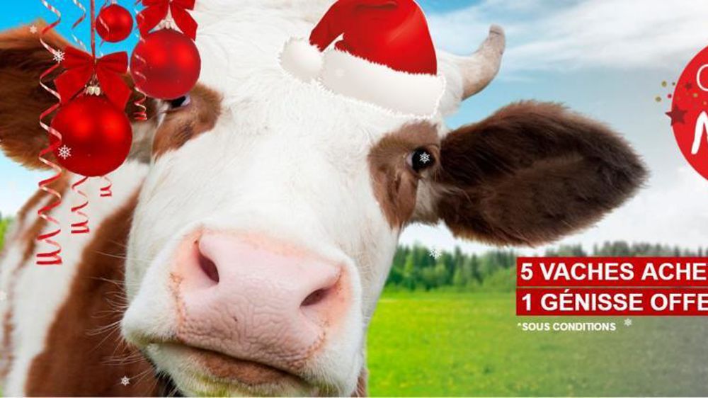 Capture d’écran du site frauduleux « cheptelepargne.com ».