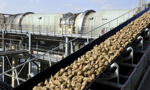 L'E85 contient entre 60% et 85% de bioéthanol, majoritairement produit à partir de maïs, blé ou betteraves. L'E85 contient entre 60% et 85% de bioéthanol, majoritairement produit à partir de maïs, blé ou betteraves.