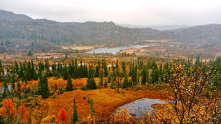 A la fin de l’été, le Telemark change totalement d’aspect. Cette période coïncide avec la pleine saison de la chasse à l’élan et au renne. A la fin de l’été, le Telemark change totalement d’aspect. Cette période coïncide avec la pleine saison de la chasse à l’élan et au renne.