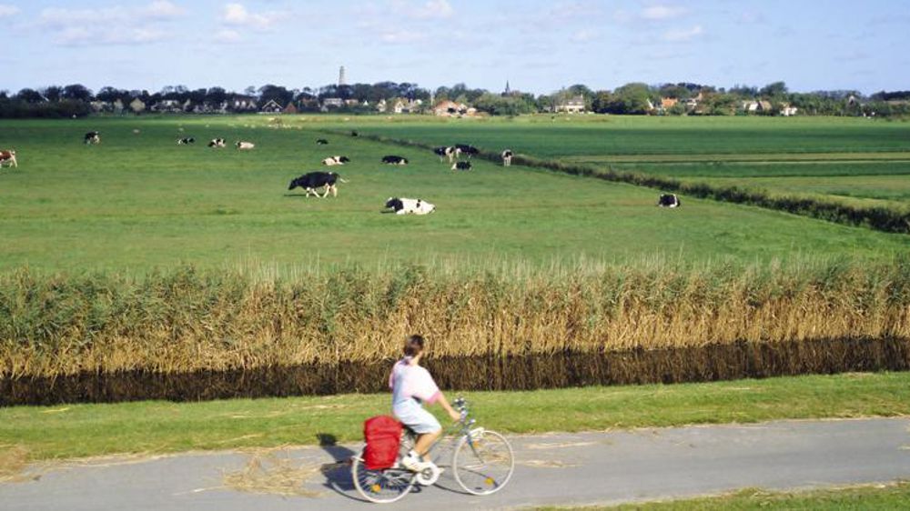 L’entretien des fossés qui bordent les champs peut rapporter plusieurs centaines d’euros à l’agriculteur affilié au collectif NFW. © Geoff Renner/Robertharding/Photononstop