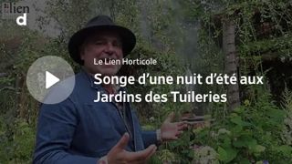 Songe d’une nuit d’été au jardin des Tuileries Songe d’une nuit d’été au jardin des Tuileries