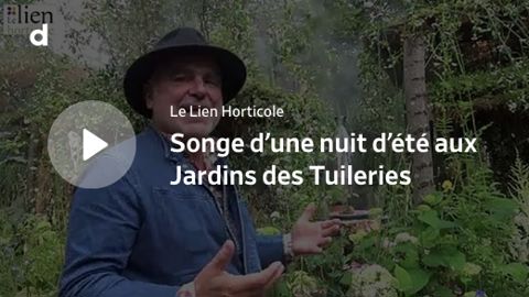 Songe d’une nuit d’été au jardin des Tuileries