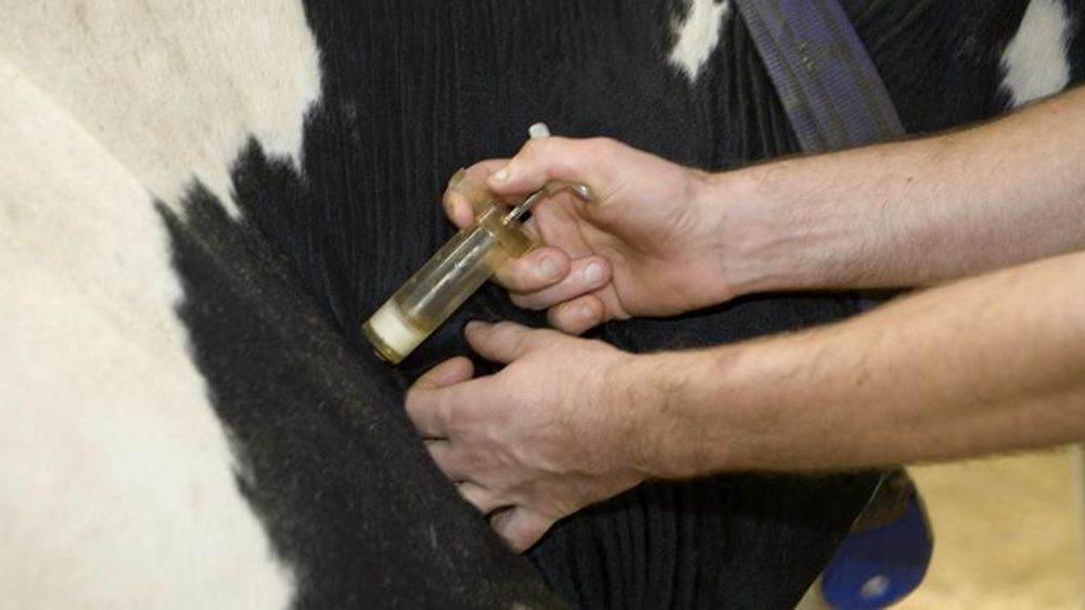 Photo d’illustration. © Christian Watier