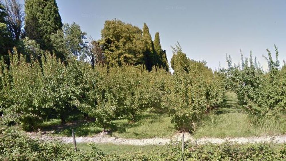 Photo d’illustration. Vergers à Salon-de-Provence. © Google maps