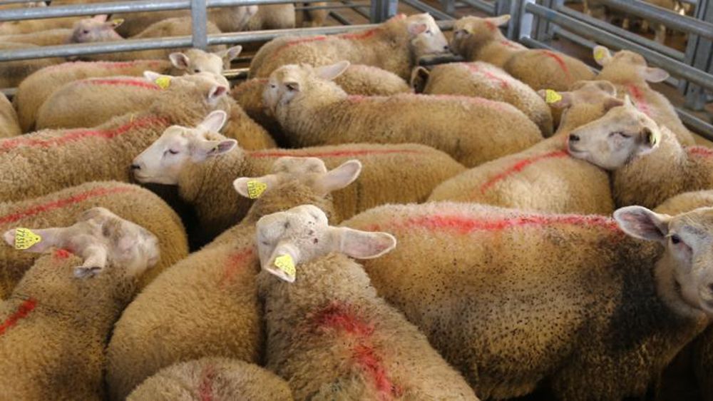 © M.-F. Malterre/GFA