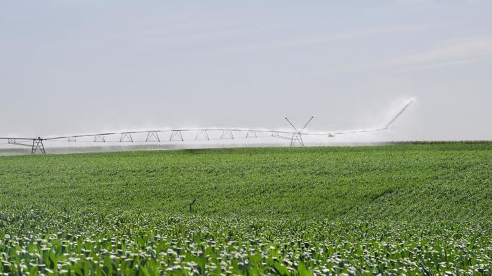 Certains équipements d’irrigation sont éligibles à l’aide pour la lutte contre les aléas climatiques. © Jean-Michel Nossant