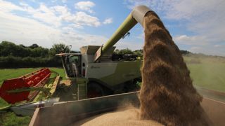 La FAO abaisse de 4,9 millions de tonnes sa prévision pour la production de céréales par rapport au mois dernier. La FAO abaisse de 4,9 millions de tonnes sa prévision pour la production de céréales par rapport au mois dernier.