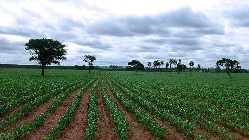 © Wikimedia Commons